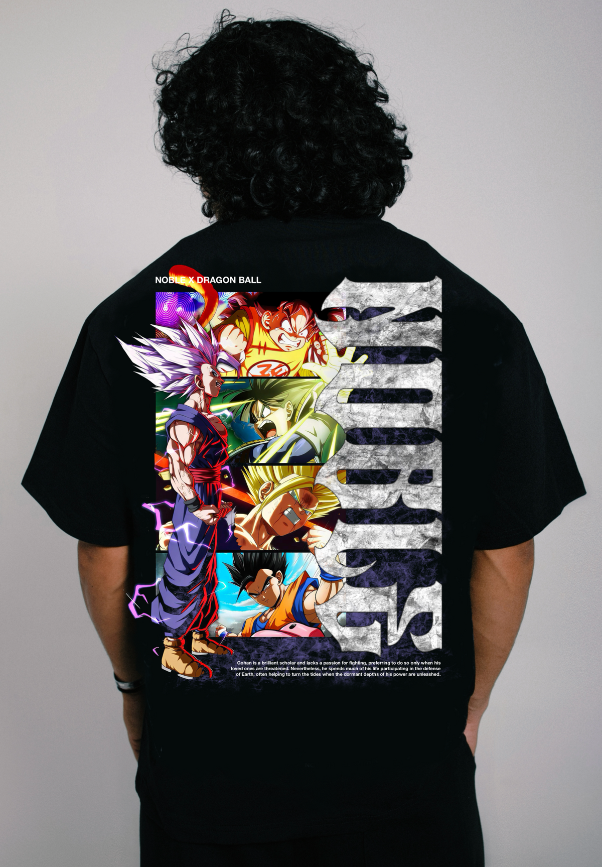 GOHAN SUPER V1