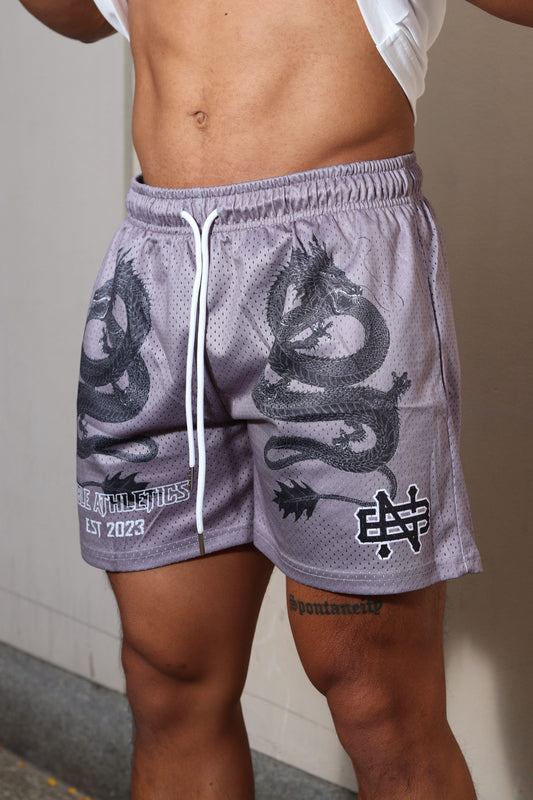 LEGENDARY MESH SHORTS-GREY