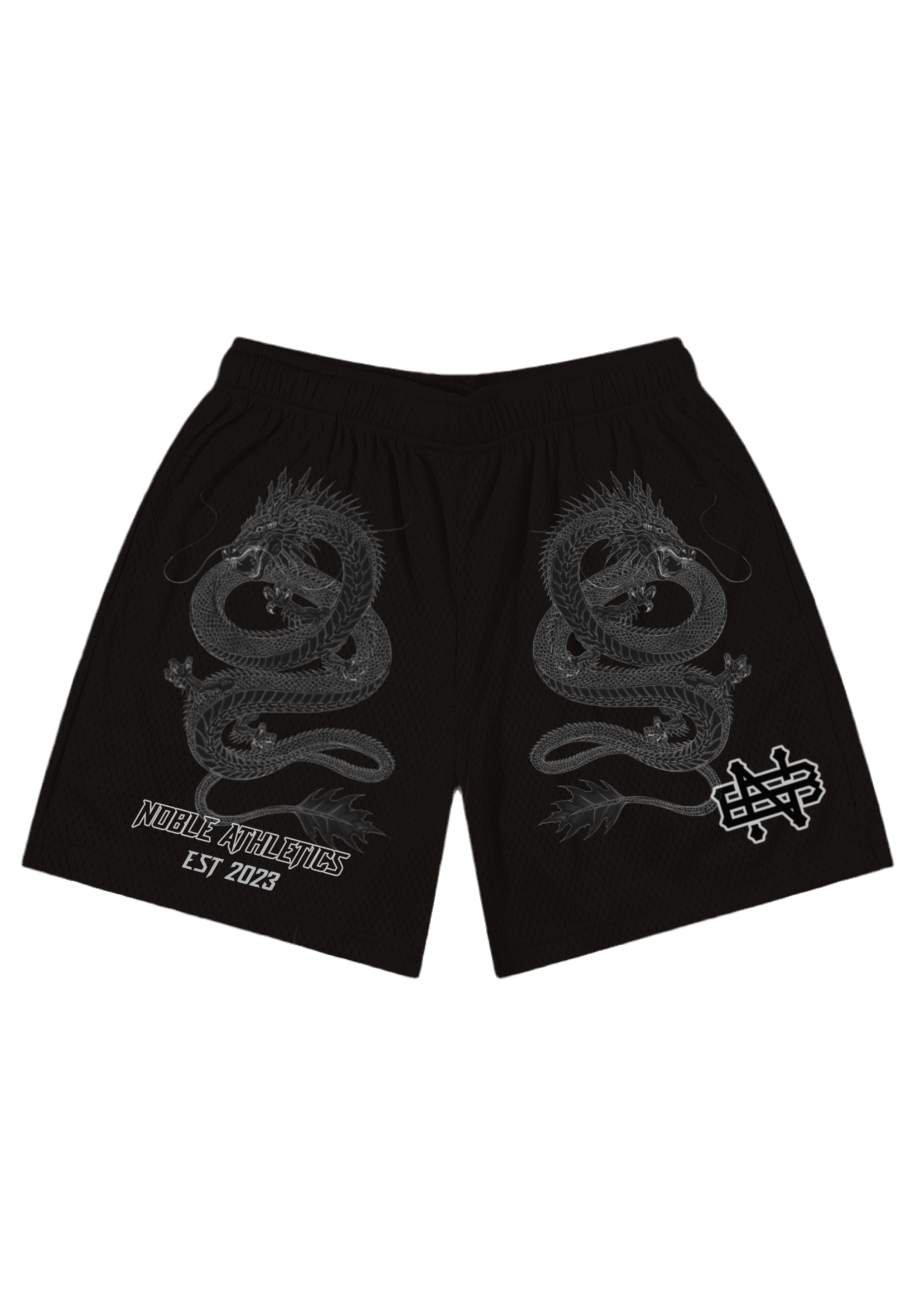 LEGENDARY MESH SHORTS-BLACK