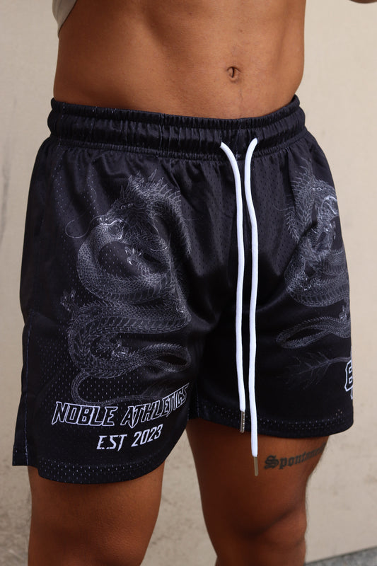 LEGENDARY MESH SHORTS-BLACK